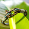 Bracelet Lisbon Laguna-Green